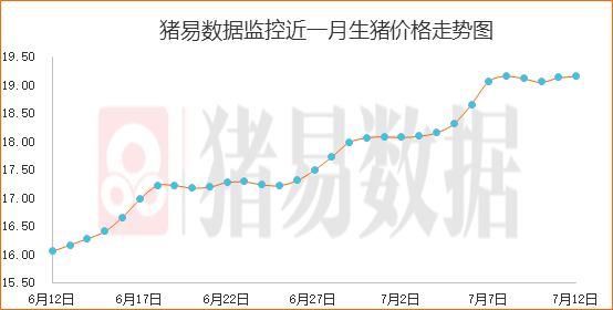 生猪价格窄幅调整，白条市场提价现象偏多?