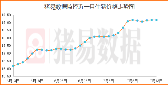 生猪价格呈现僵持态势，冻肉竞拍再来2万吨