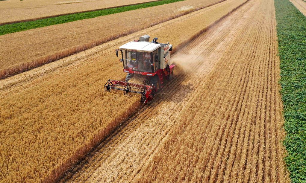 雨一直下，菜篮子能稳住吗？猪肉供得上吗？