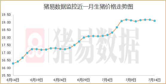 生猪价格下跌现象增多，屠企压价意愿明显