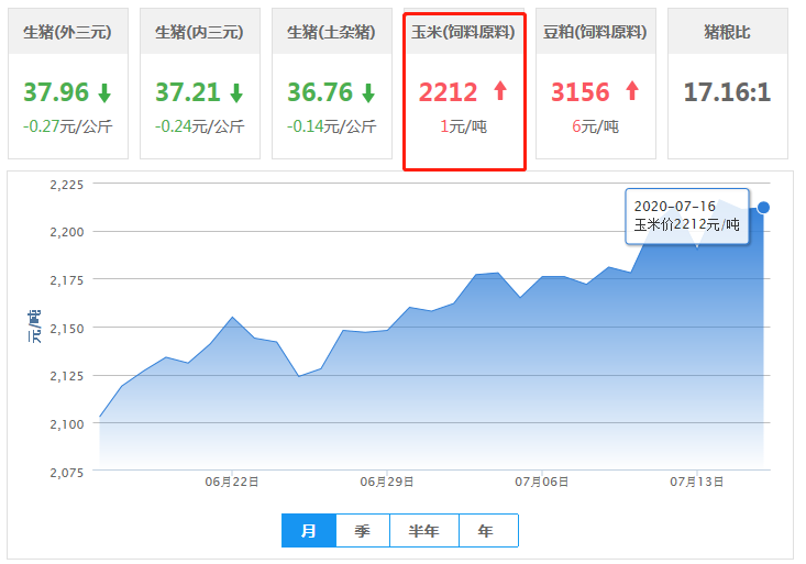 7月16日玉米价格：玉米市场受到压缩，报价企稳！