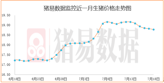 生猪价格跌涨调整，批发市场表现不一