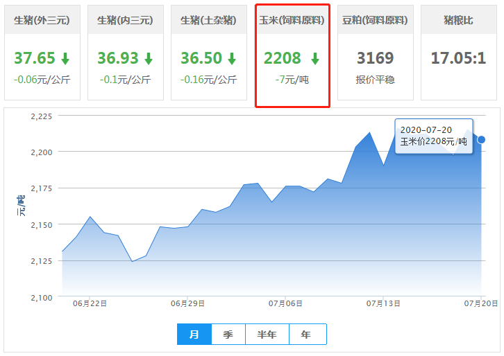 7月20日玉米价格：玉米震荡走高，市场屯粮待涨！