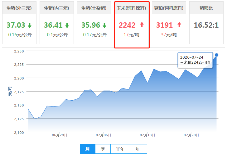 7月24日饲料原料：行情火爆，玉米、豆粕双双攀高！