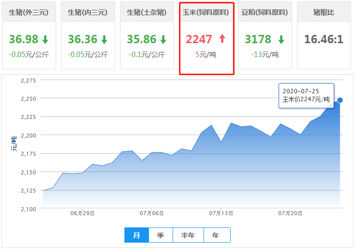 拍卖火爆，局地玉米直接上涨80元/吨，豆粕持续震荡！