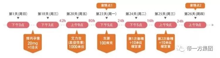 批次生产-猪场母猪批次化生产流程