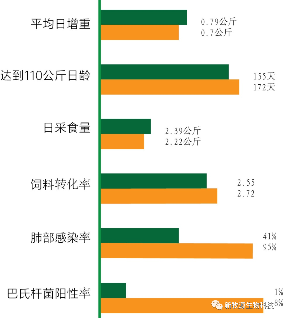 猪场批次化生产管理方案（1）