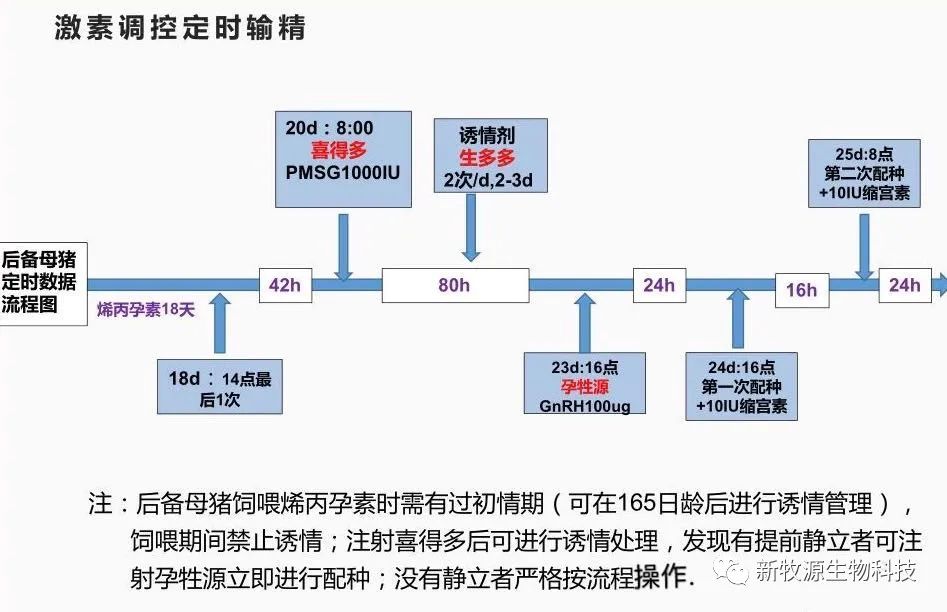 猪场批次化生产管理方案（3）