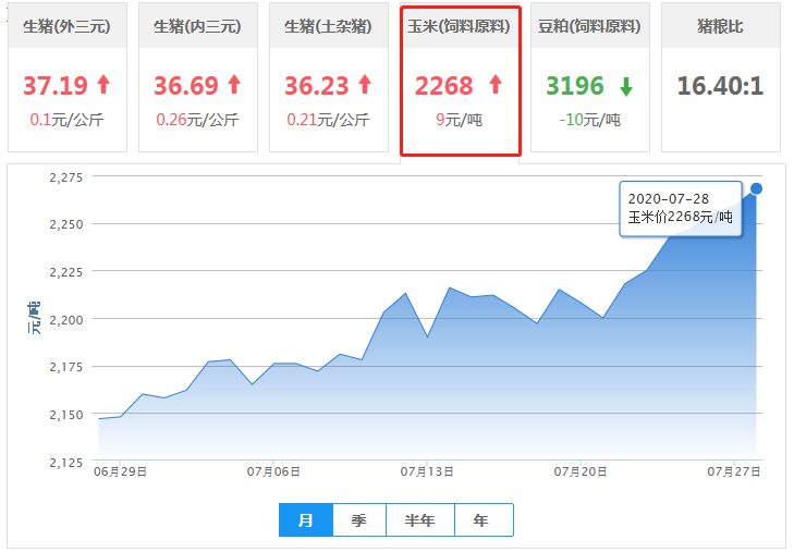 7月28日饲料原料：涨跌互现，玉米行情走高，豆粕报价震荡