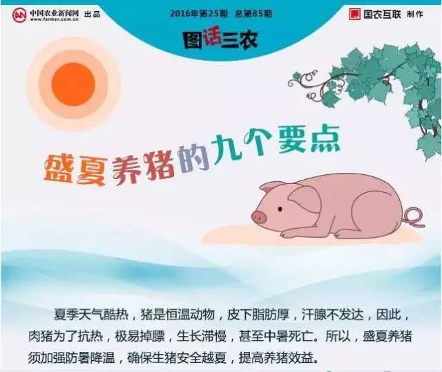 盛夏来临，9张图告诉你养猪重点，赶紧收下！