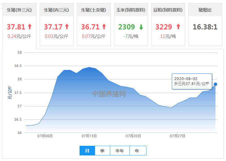 八月涨势持续，缓慢向38元/公斤攀升！