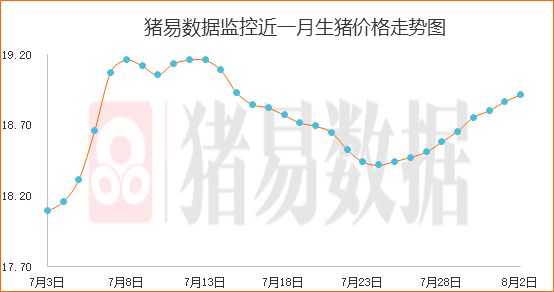 猪价继续缓慢上涨，屠企提价意愿表现不强