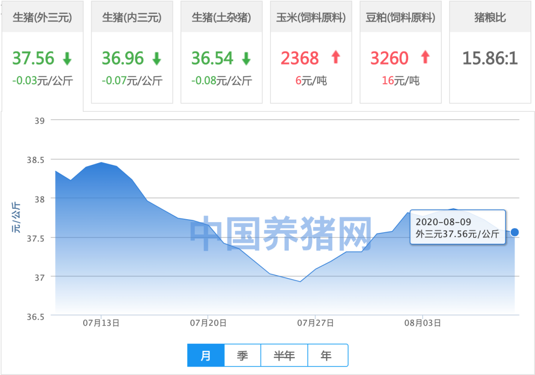 东北猪价再迎止跌反弹！下跌行情要结束了？