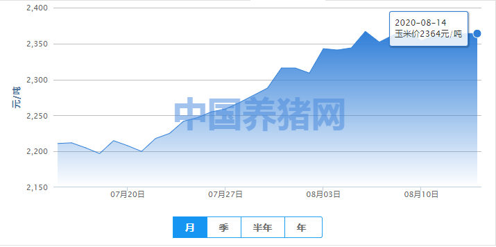 市场情绪“降温”，玉米滞涨调整！中长期上涨依旧有望！