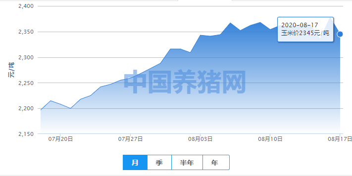 玉米行情迎来重要信号！9月有望创历史新高？