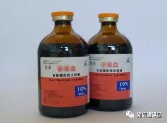 铁制剂在养猪生产中的重要作用，80%的养猪人居然不知道？