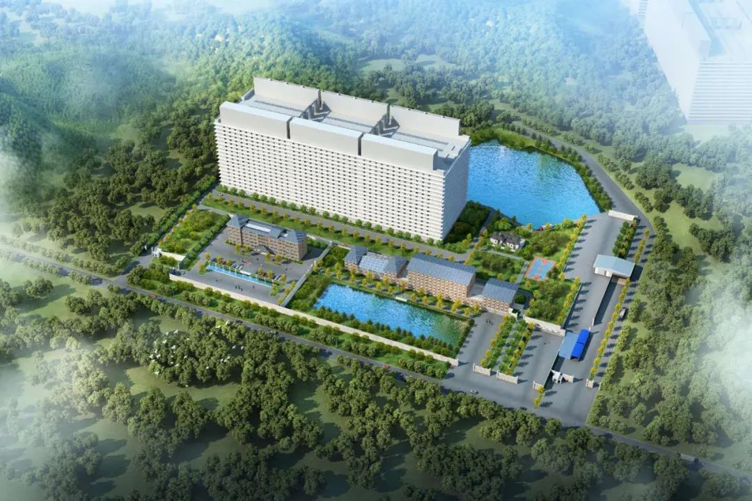 混搭互利？水泥厂孵化养猪场，单体26层高楼房养猪示范基地！