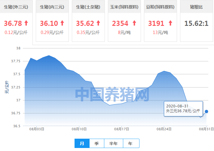 猪价止跌反弹！多地猪价“蹭蹭蹭”上涨！