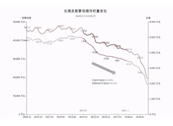 大数据：看中国猪业发展现状！