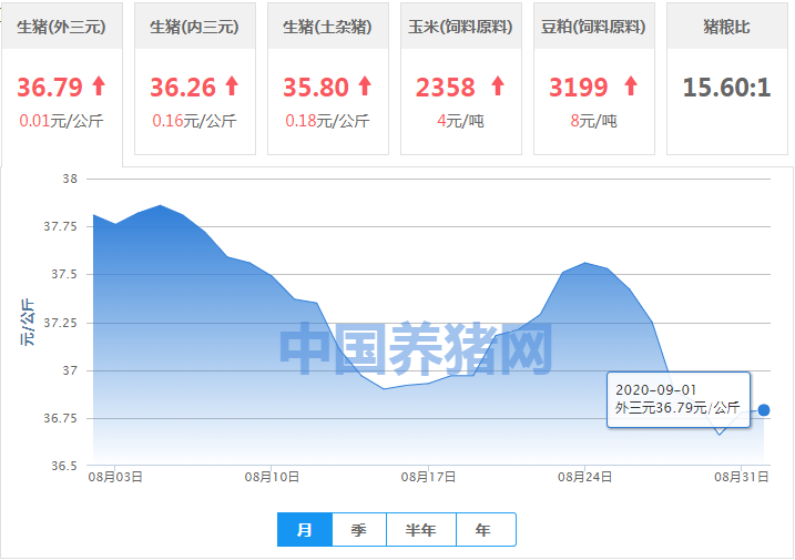 好彩头！屠企收猪难，猪价稳中涨，有机会大涨吗？
