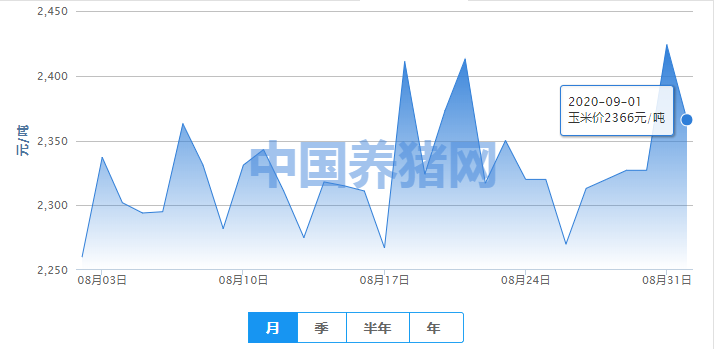 开门红！九月玉米能否迎来反弹局面？