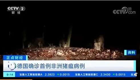 欧洲最大猪肉生产国发生首例非瘟！中国全面暂停进口德国猪肉