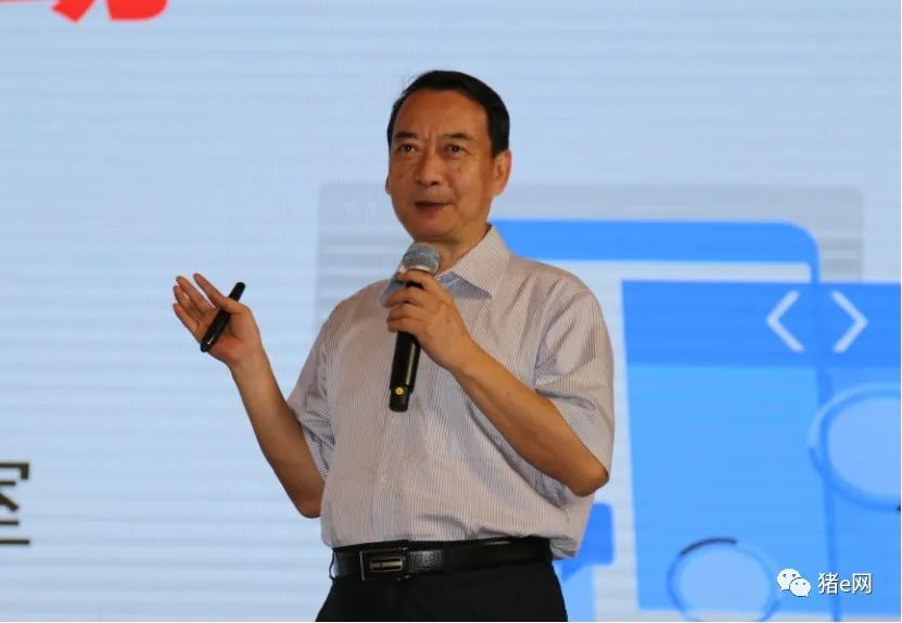 杨汉春：搞定非瘟要“打三仗”，目前在第二场战役！