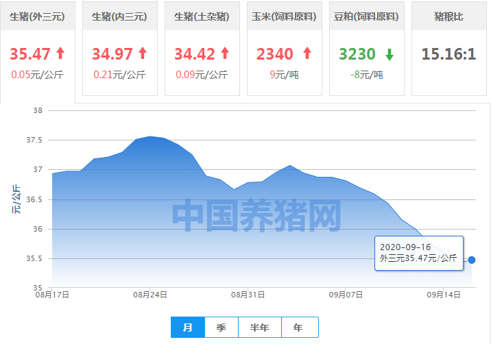 万众期待，猪价涨势回归！别急！还能涨？