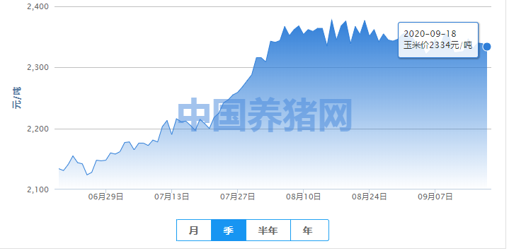 玉米行情或延续回调走势，下月有望反弹？