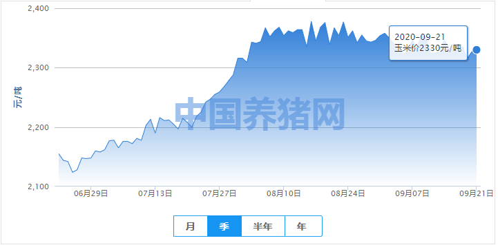 看涨形成主流？玉米大幅上涨可能性不大！