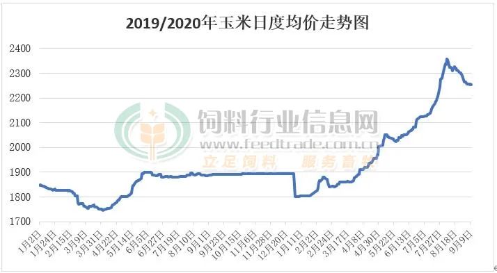 玉米1.26元/斤，还能向上冲？饲料已涨价，畜禽肉价格是否会被波及？