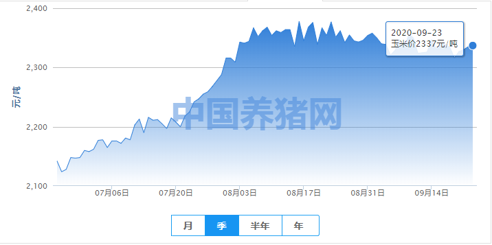 玉米行情震荡，十月有望再度开启回调模式！