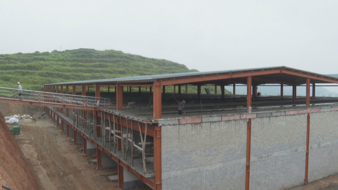 两幢三层高的生猪养殖厂房拔地而起！村民：家门口就有工作了！