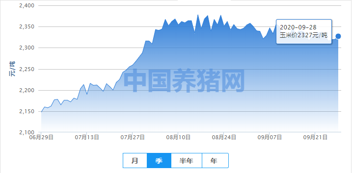 玉米行情趋稳上涨，上涨格局能否保持？