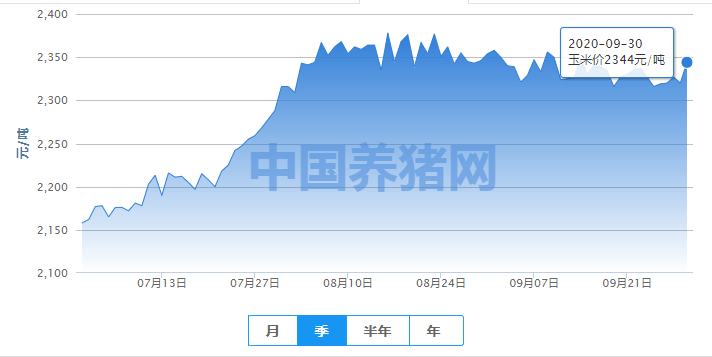 玉米震荡上行，10月行情如何？