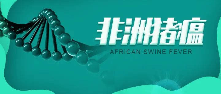 如何确诊非洲猪瘟？实验室诊断为主，临床为辅！