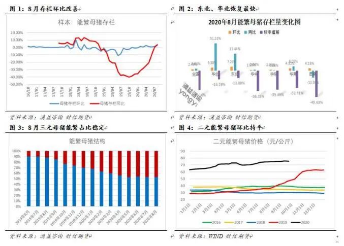 商品猪存栏改善 终端消费维持低迷