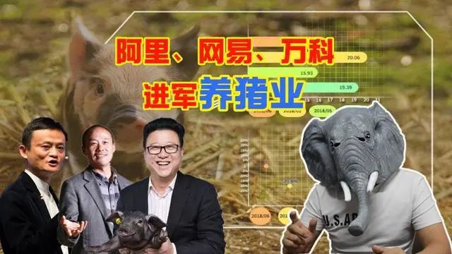 阿里、网易、万科进军养猪业，跨界养猪如何利用高科技?