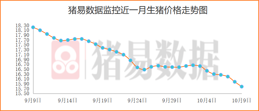 猪价呈现大幅下跌，白条出厂价跌幅更明显