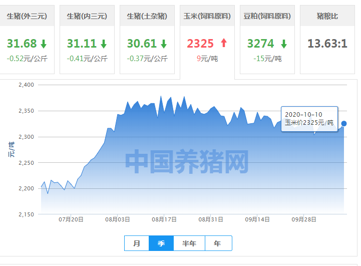 玉米行情维持上涨，本月是否会到“顶点”？