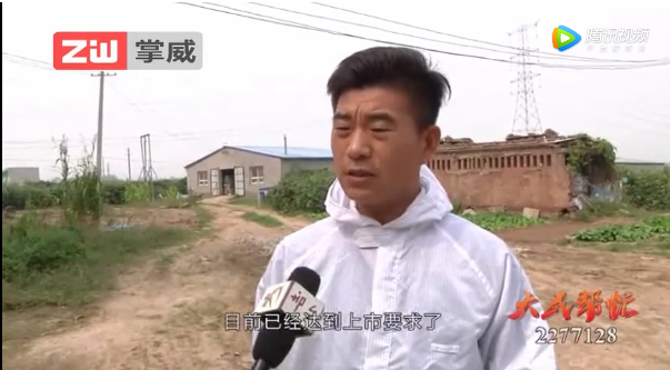 养猪被套路，愤怒+无奈！村民发声：各村警惕！