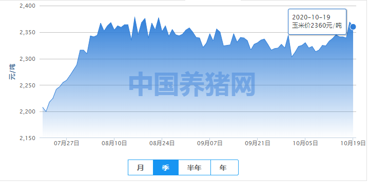新季玉米上市持续增加，玉米价格有望回调！